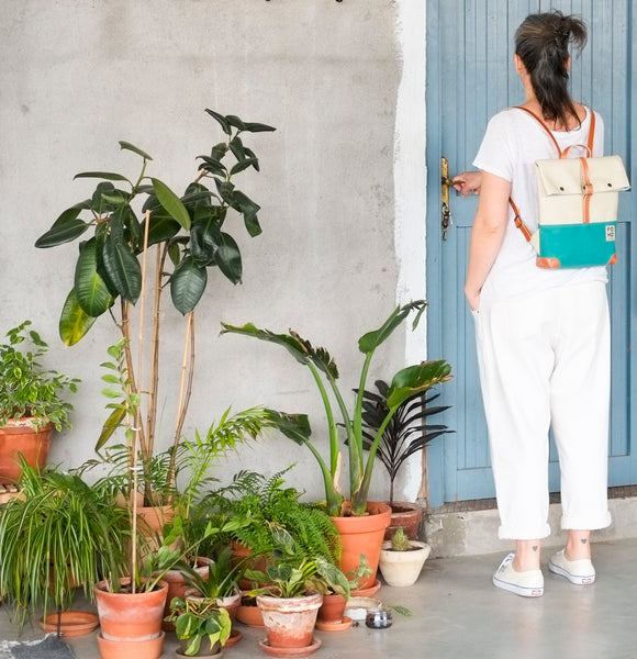 Poho COLORS backpack · Turquesa