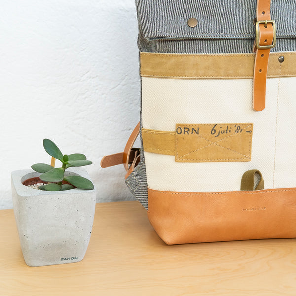 The 1/1 Collection - nº 427.